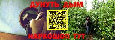 сатива Нальчик